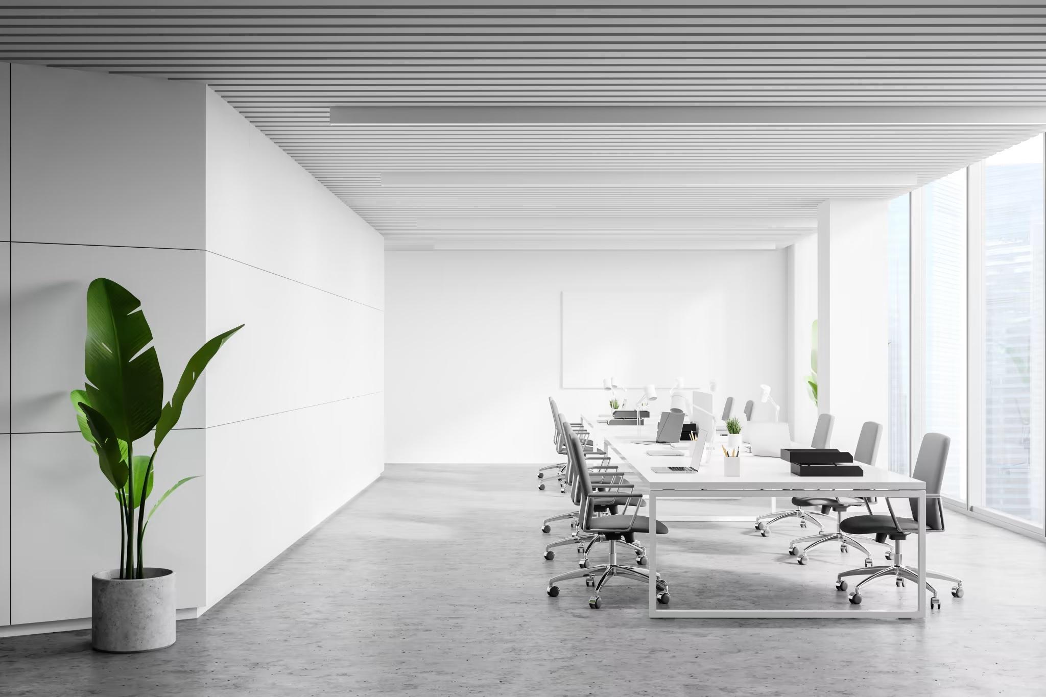 clean contemporary white walled office with meeting table, chairs and floor plant