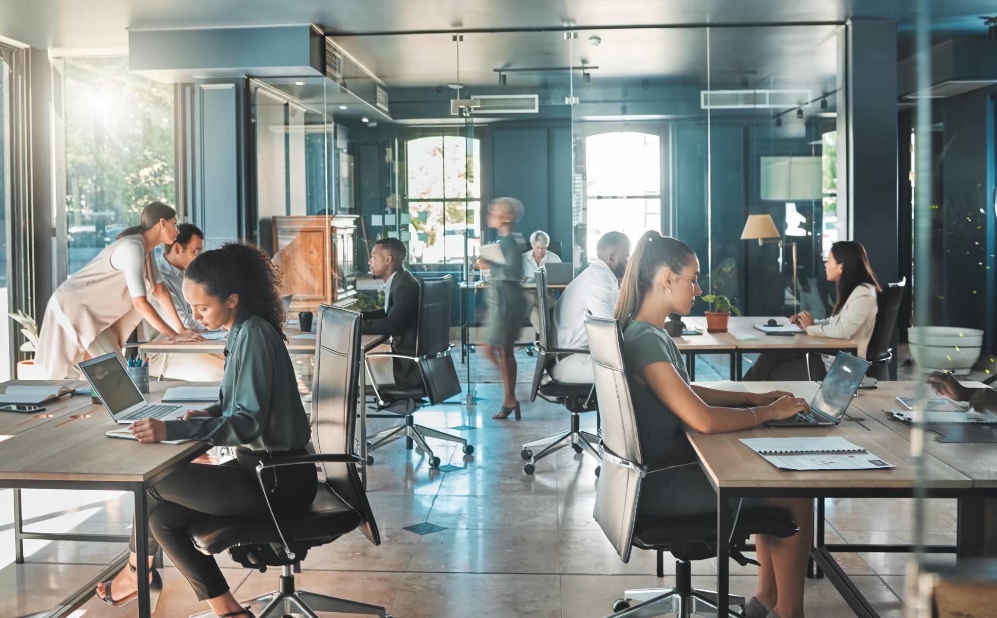 large group of office employees working at desks in commercial property office building